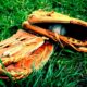 Purchase the Best Baseball Gloves at Hibbett Sports