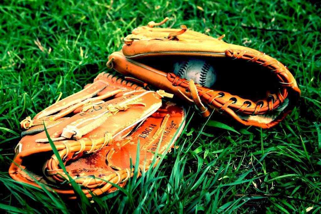 Purchase the Best Baseball Gloves at Hibbett Sports