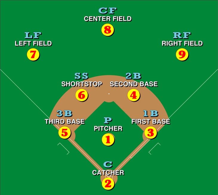 The Players and The Field Setup baseball